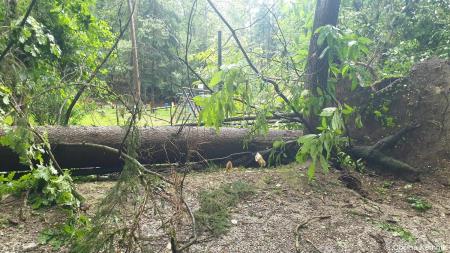 Otroško igrišče Podgorje (6)